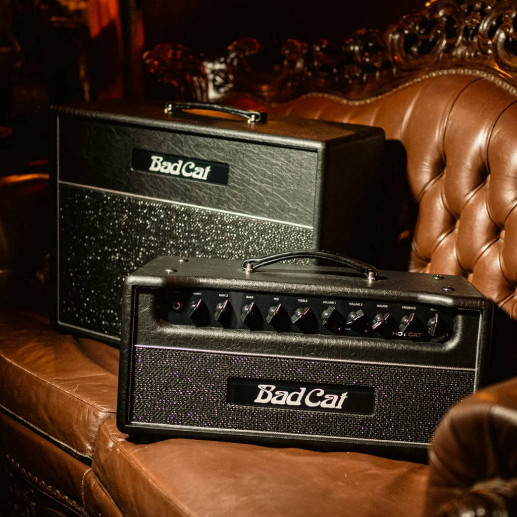 10% off Bad Cat Amps